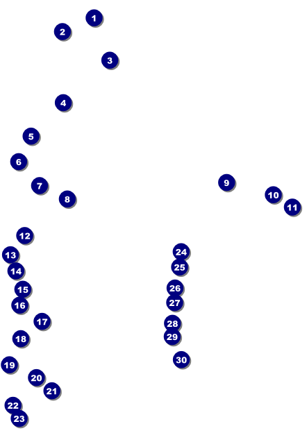 MMA Main Event Postcard (Brown) Front Field Markers