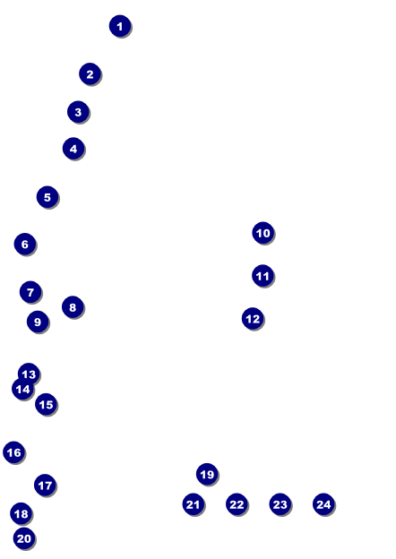 St. Patrick's Day Plaid Postcard Front Field Markers