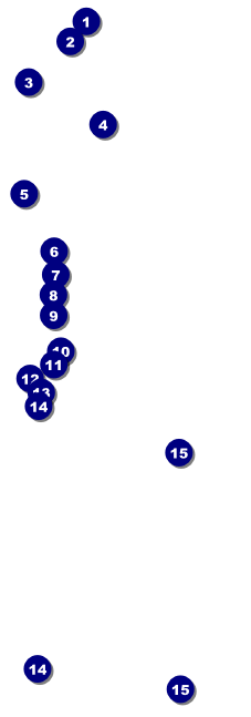 Chinese Raffle Ticket Front Field Markers