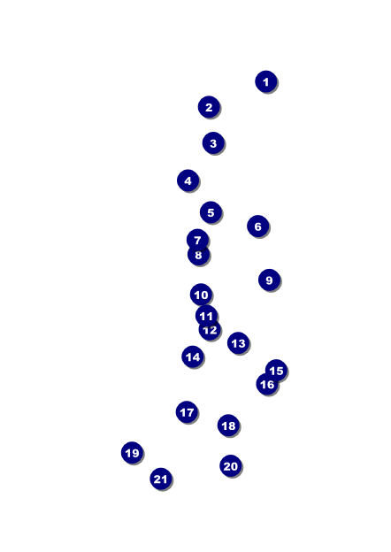 Cheerleading Spirit Postcard Front Field Markers