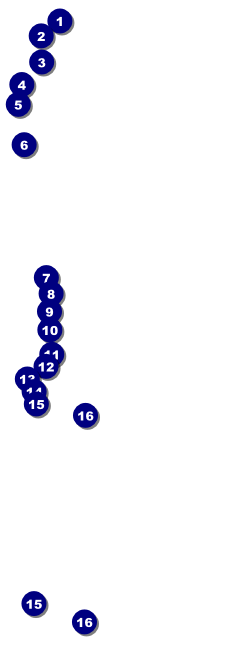 Diabetes Raffle Ticket Front Field Markers