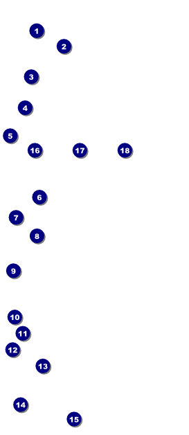 Women's Expo Abstract Postcard Front Field Markers