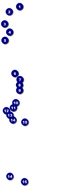 Australia Raffle Ticket Front Field Markers