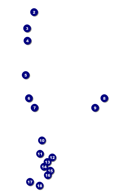 Carnival Monkey Postcard 2 Front Field Markers
