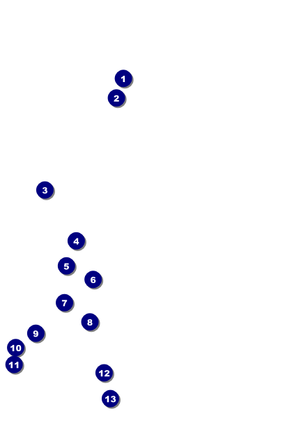 Flower Stag & Doe Postcard Front Field Markers