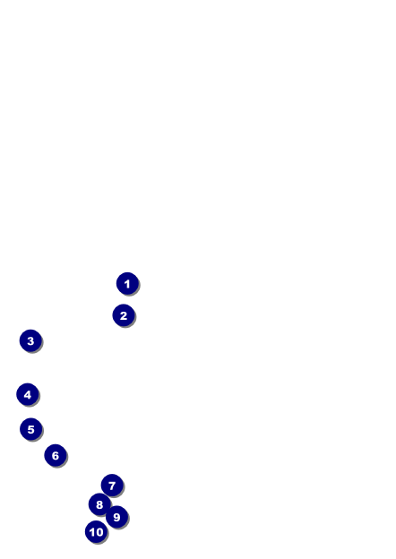 Black Tie Postcard Front Field Markers