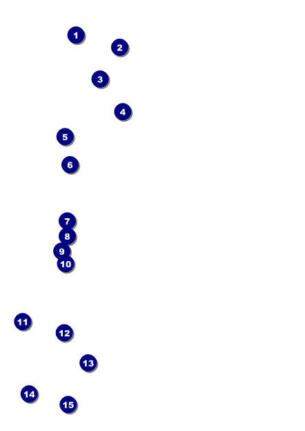 Vineyard Postcard Front Field Markers