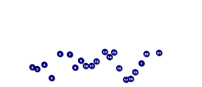 Performing Arts VIP Pass Front Field Markers