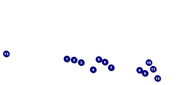 Castle VIP Pass Front Field Markers