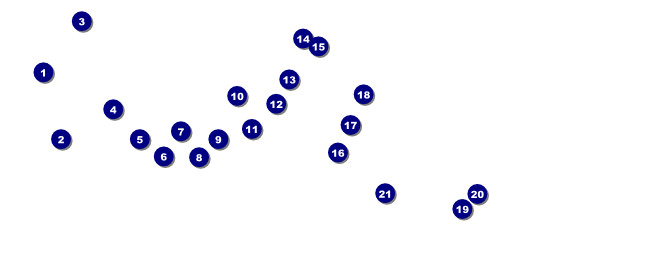 Scottish Flag VIP Pass Front Field Markers