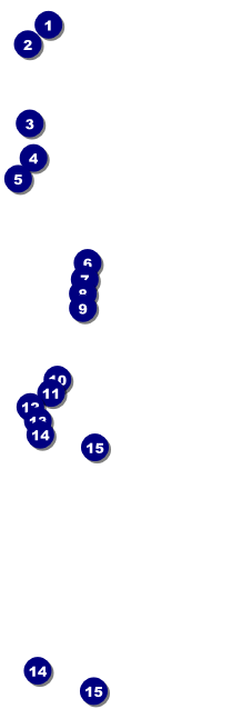 French Raffle Ticket Front Field Markers