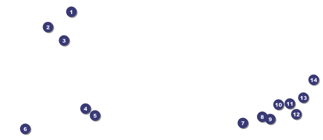 Masquerade Ball VIP Pass Front Field Markers