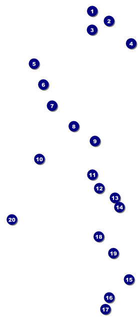 Philippines VIP Pass Front Field Markers