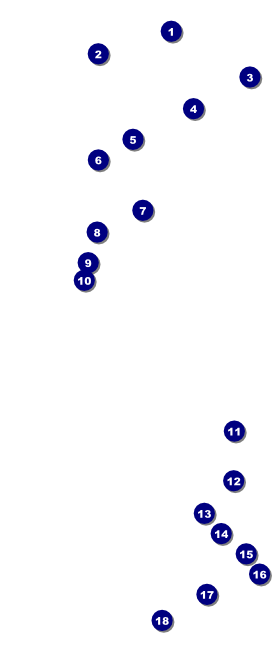 North Lanarkshire VIP Pass Front Field Markers