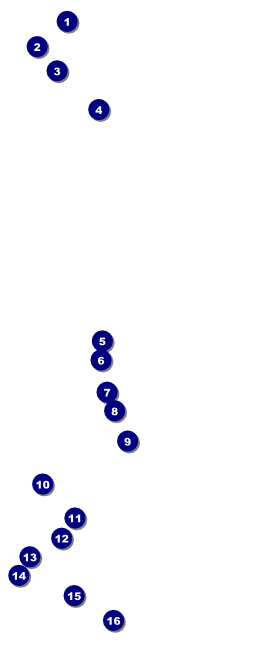 Leeds VIP Pass Front Field Markers