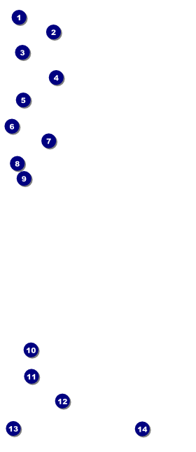 Casino VIP Pass Front Field Markers