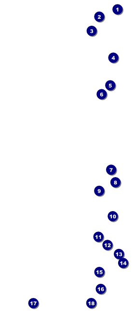 Hollywood Skyline VIP Pass Front Field Markers