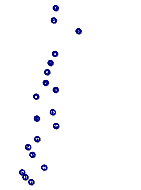 Valentine's Day Flyer 001 Front Field Markers
