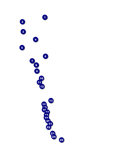 St. Patrick's Day Flyer 001 Front Field Markers