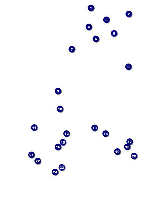 Stylish Rose Flyer Front Field Markers