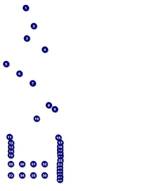 Champagne Lights Flyer Front Field Markers