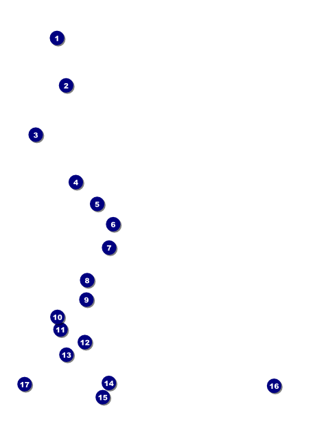 Palm Tree Flyer Front Field Markers