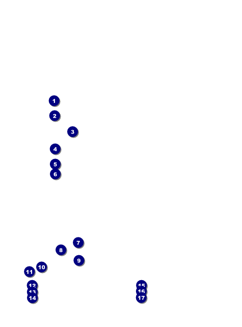 Birthday Geometric Flyer Front Field Markers