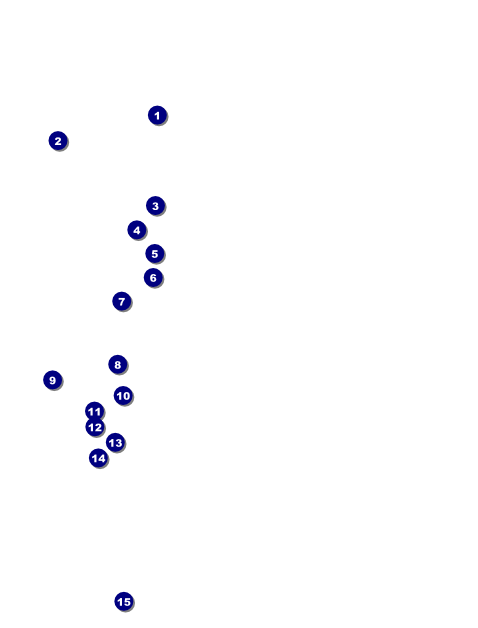 Green Leaves Flyer Front Field Markers