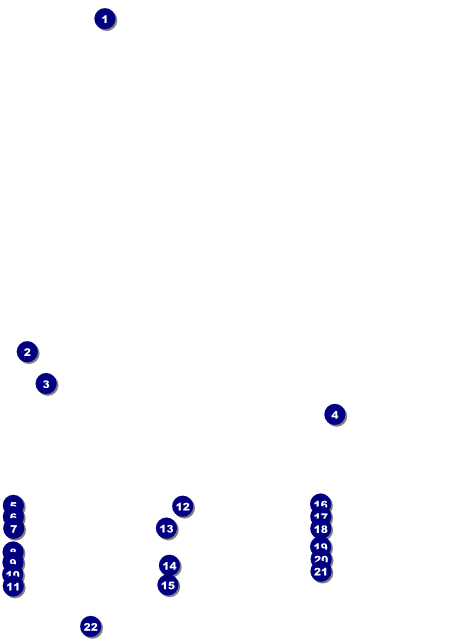 Humane Society Flyer Front Field Markers