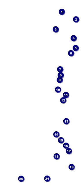 Norwegian VIP Pass Front Field Markers