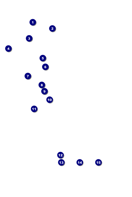 Celebration Poster Front Field Markers