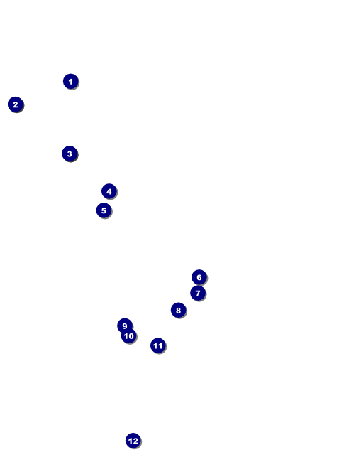 Whimsical Paris Flyer Front Field Markers
