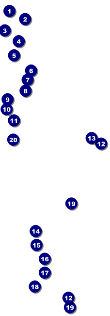 Your Image Raffle Black Front Field Markers