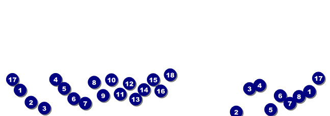 Cricket Event Ticket Front Field Markers