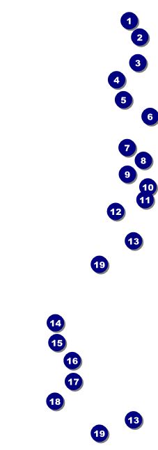 Sports Blue and Yellow Raffle Ticket Front Field Markers