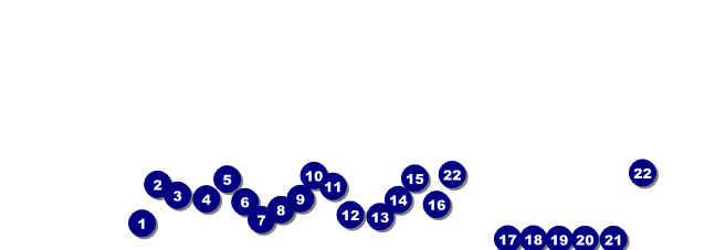 Rugby Raffle Ticket Front Field Markers