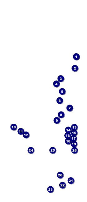 Drag Racing VIP Pass Front Field Markers
