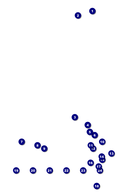 Filipino Fiesta Poster Front Field Markers