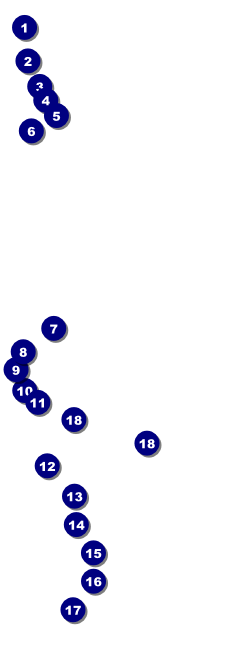 Night Club Neon Raffle Ticket Front Field Markers