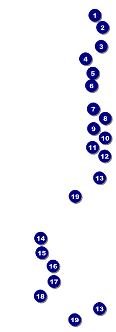 Sports Blue and Gold Raffle Ticket Front Field Markers
