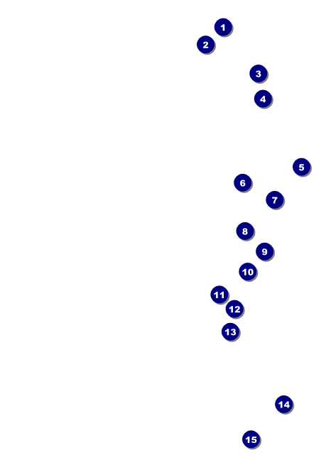 All Purpose Stars Postcard Front Field Markers