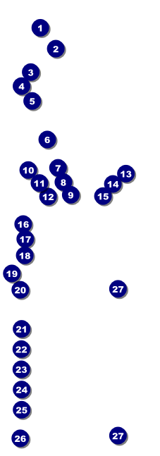 Football Lights Raffle Ticket Front Field Markers