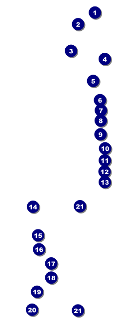 Football Ribbon Raffle Ticket Front Field Markers