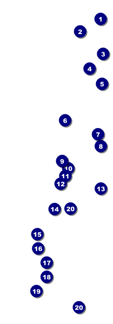 Rugby Stadium Raffle Ticket Front Field Markers