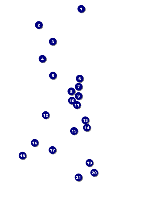 BMX Invitation Front Field Markers