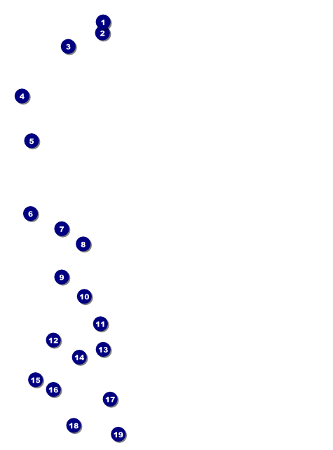 Bucking Bronco Image Flyer Front Field Markers