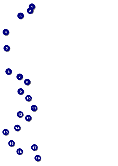 Bucking Bronco Postcard Front Field Markers
