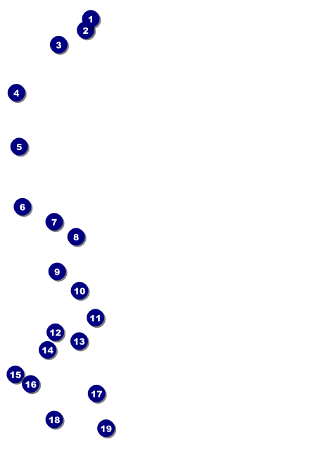 Bucking Bronco Invitation Front Field Markers