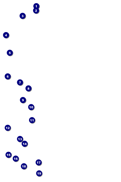 Bucking Bronco Poster Front Field Markers