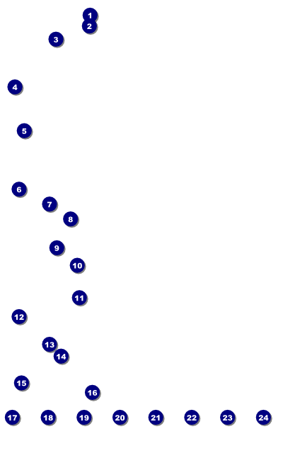 Bucking Bronco Image Poster Front Field Markers
